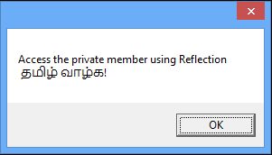 Access the private member using reflection